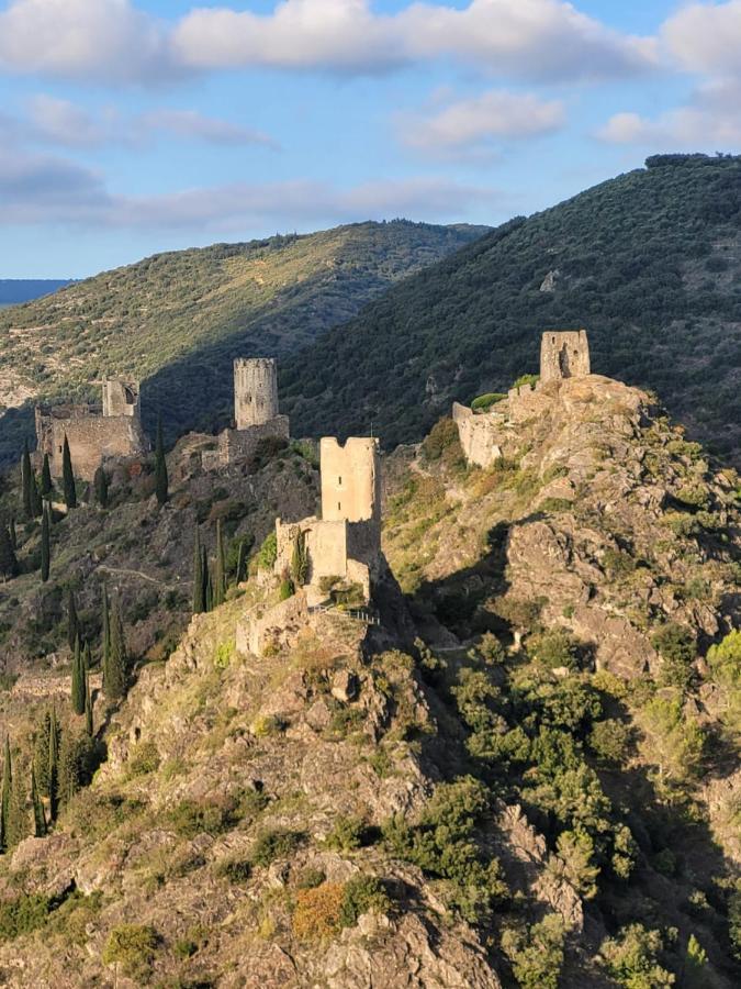 3 Star Surdespine Historic 4 Chateaux Lastours Air Conditioned Εξωτερικό φωτογραφία