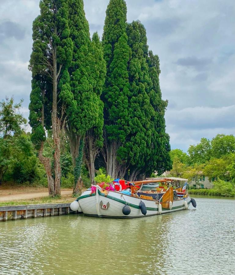 3 Star Surdespine Historic 4 Chateaux Lastours Air Conditioned Εξωτερικό φωτογραφία