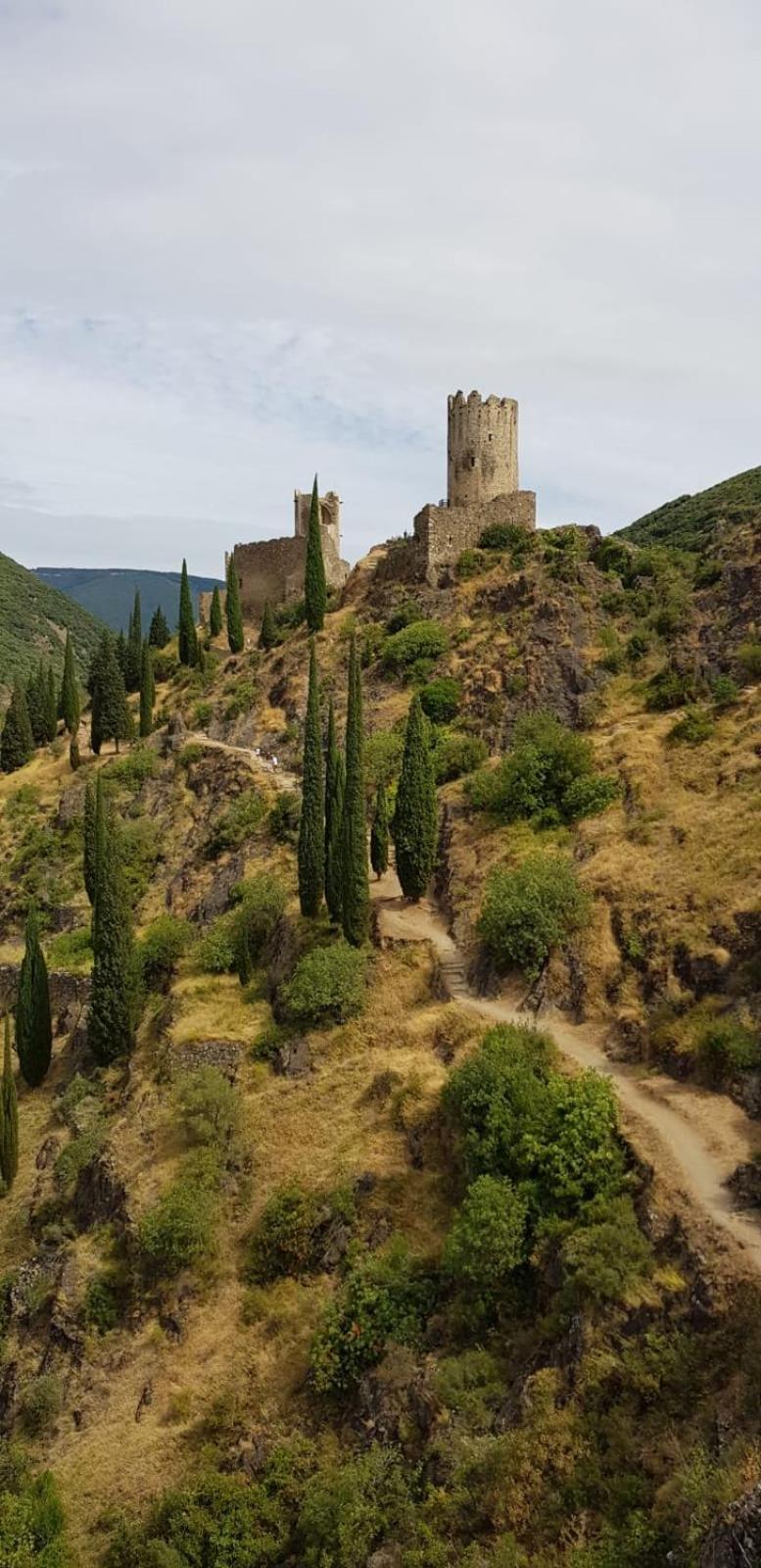 3 Star Surdespine Historic 4 Chateaux Lastours Air Conditioned Εξωτερικό φωτογραφία